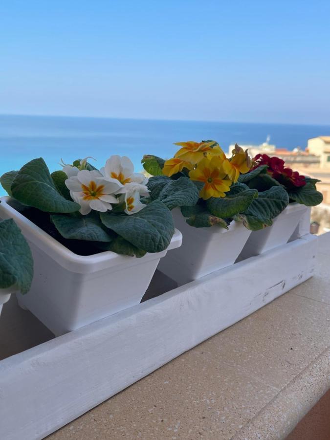 Sapore Di Sale Accommodation Tropea Eksteriør billede